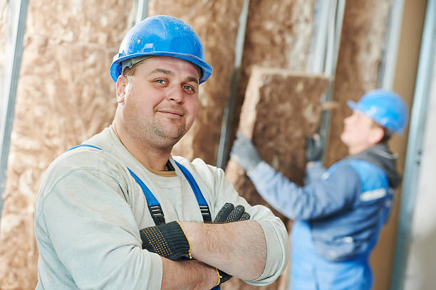 Best Cellulose Insulation in Eastman, GA